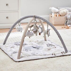 Skip Hop x pbk Animal Friends Classic Activity Gym